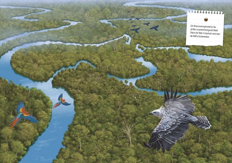 Produktbild: Verborgene Welt des Regenwaldes
