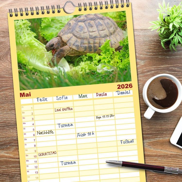 Produktbild: Familienplaner 2026 - Schildkr&ouml;ten - Gepanzerte Urzeitwesen mit 5 Spalten (Wandkalender, 21 x 45 cm) CALVENDO