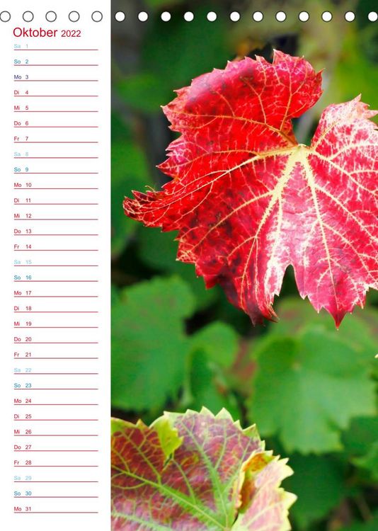 Produktbild: Wein und Sekt (Tischkalender 2022 DIN A5 hoch)