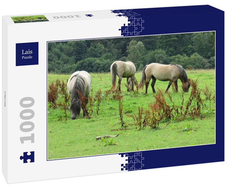 Produktbild: Lais Puzzle Pferde 1000 Teile