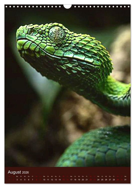 Produktbild: The Power Of Snake (Wandkalender 2026 DIN A3 hoch), CALVENDO Monatskalender