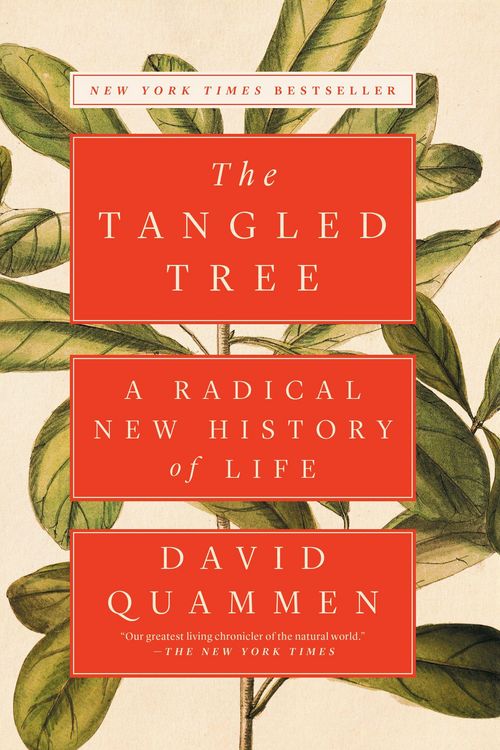 Produktbild: The Tangled Tree