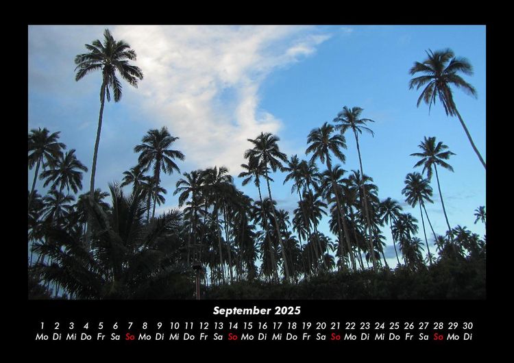 Produktbild: Palmentraum 2025 Fotokalender DIN A3
