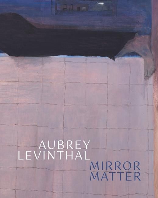 Produktbild: Aubrey Levinthal - Mirror Matter
