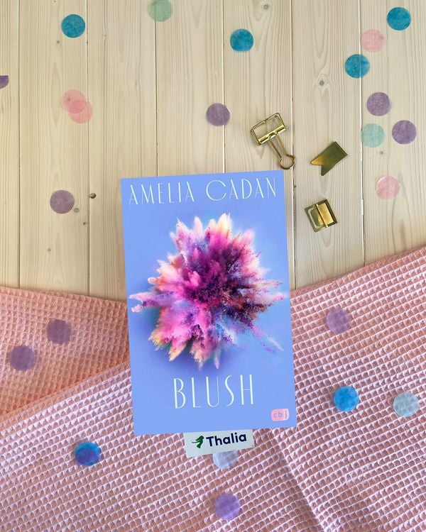 Produktbild: Blush