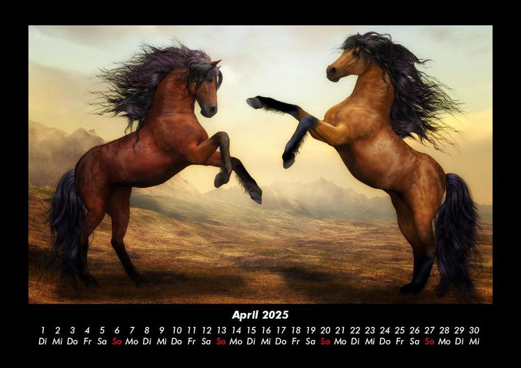 Produktbild: Pferde Kalender 2025 Fotokalender DIN A3