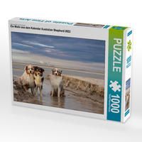 Produktbild: CALVENDO Puzzle Australian Shepherd 2022 1000 Teile Lege-Gr&ouml;&szlig;e 640 x 480 cm Foto-Puzzle Bild von Annett Mirsberger