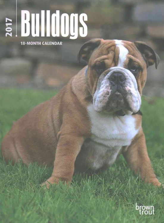 Produktbild: Bulldogs 2017 Desk Diary