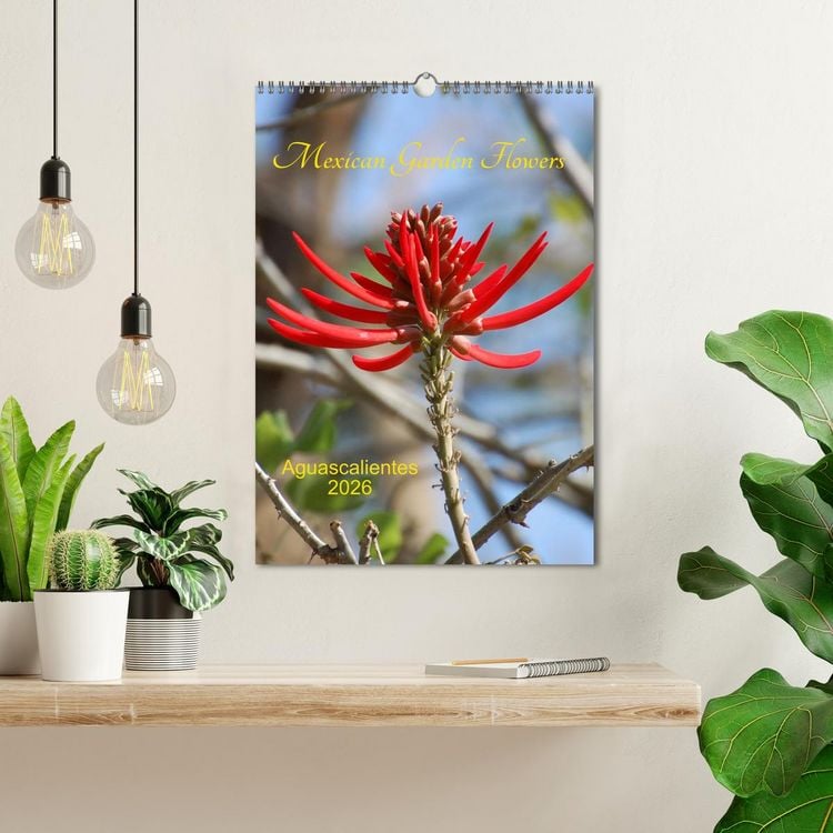 Produktbild: Mexican Garden Flowers - Aguascalientes (Wall Calendar 2026 DIN A3 portrait), CALVENDO 12 Month Wall Calendar
