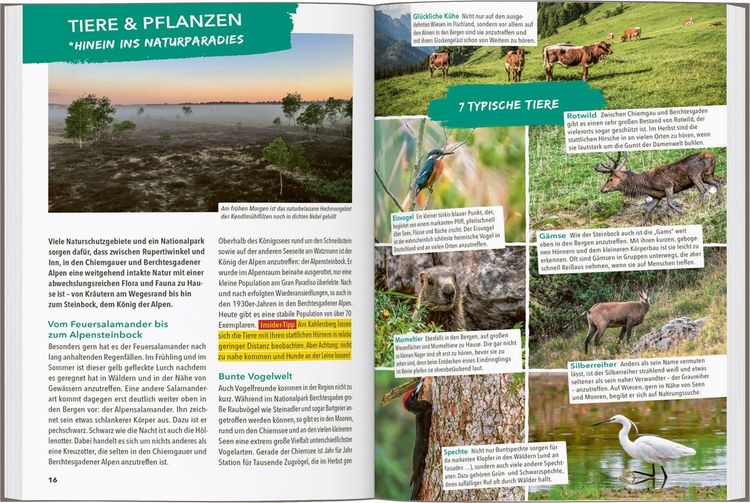 Produktbild: MARCO POLO OUTDOOR GUIDE Reisef&uuml;hrer Chiemgau & Berchtesgadener Land