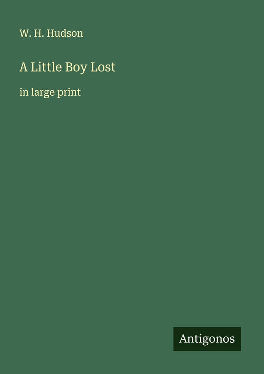 Produktbild: A Little Boy Lost