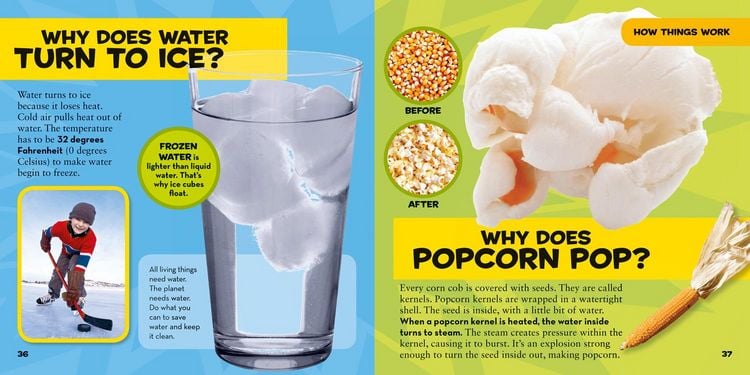 Produktbild: National Geographic Little Kids First Big Book of Why