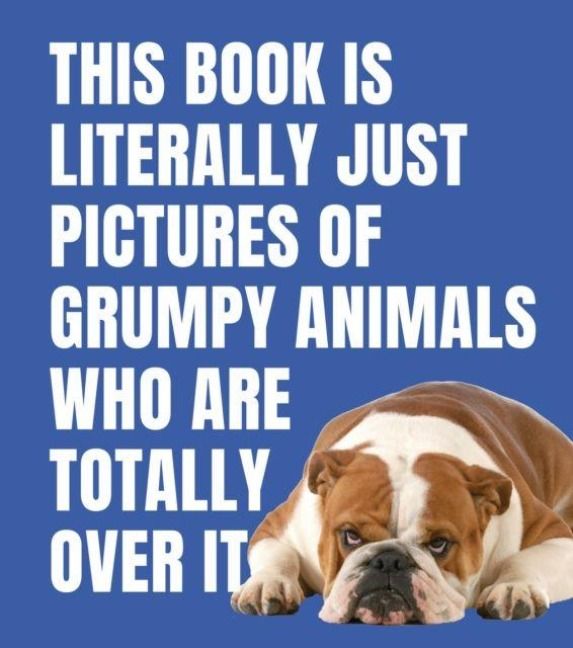 Produktbild: This Book is Literally Just Pictures of Grumpy Animals Who Are Totally Over It