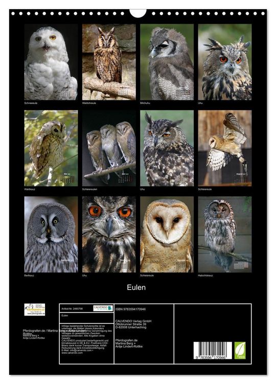 Produktbild: Eulen (Wandkalender 2027 DIN A3 hoch), CALVENDO Monatskalender