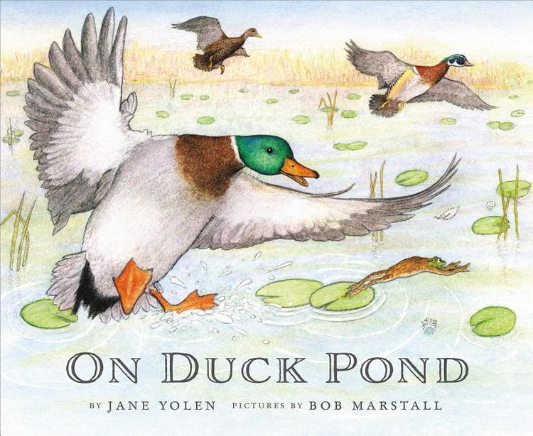 Produktbild: On Duck Pond
