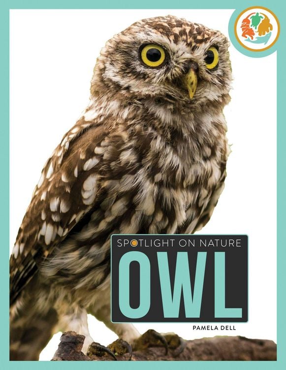 Produktbild: Owl