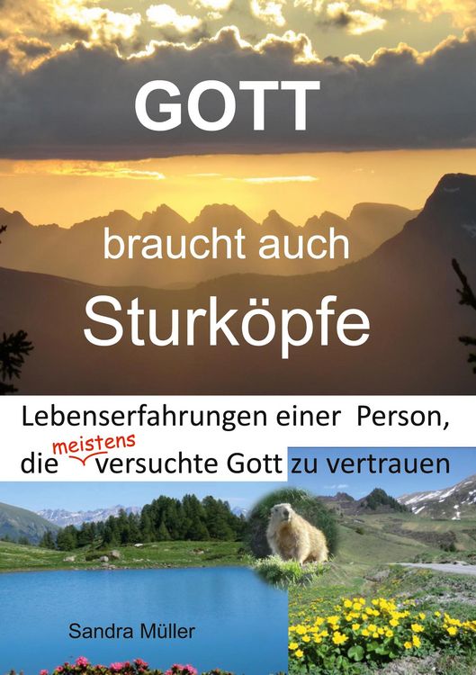 Produktbild: Gott braucht auch Sturk&ouml;pfe