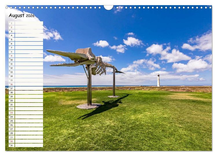 Produktbild: FUERTEVENTURA Geburtstagskalender mit Planerfunktion (Wandkalender 2026 DIN A3 quer), CALVENDO Monatskalender