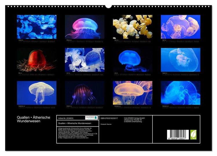 Produktbild: Quallen &bull; &Auml;therische Wunderwesen (hochwertiger Premium Wandkalender 2026 DIN A2 quer), Kunstdruck in Hochglanz
