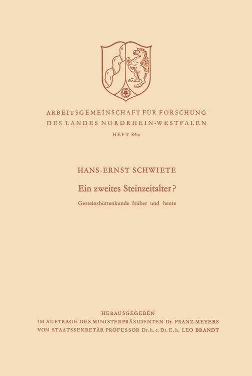 Produktbild: Ein zweites Steinzeitalter?