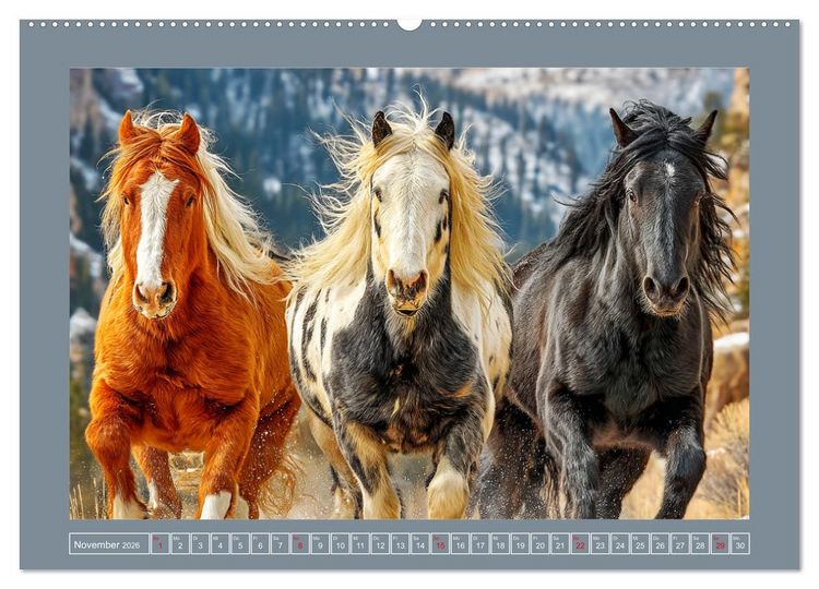 Produktbild: Mustangs. Pferde in ihrer wildesten Sch&ouml;nheit (hochwertiger Premium Wandkalender 2026 DIN A2 quer), Kunstdruck in Hochglanz