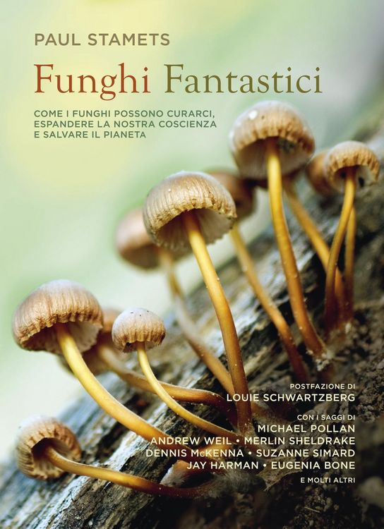 Produktbild: Funghi fantastici