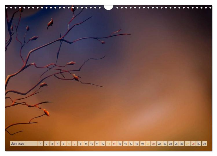 Produktbild: Kalender, Fotos selbst einkleben, selbst gestalten (Wandkalender 2026 DIN A3 quer), CALVENDO Monatskalender
