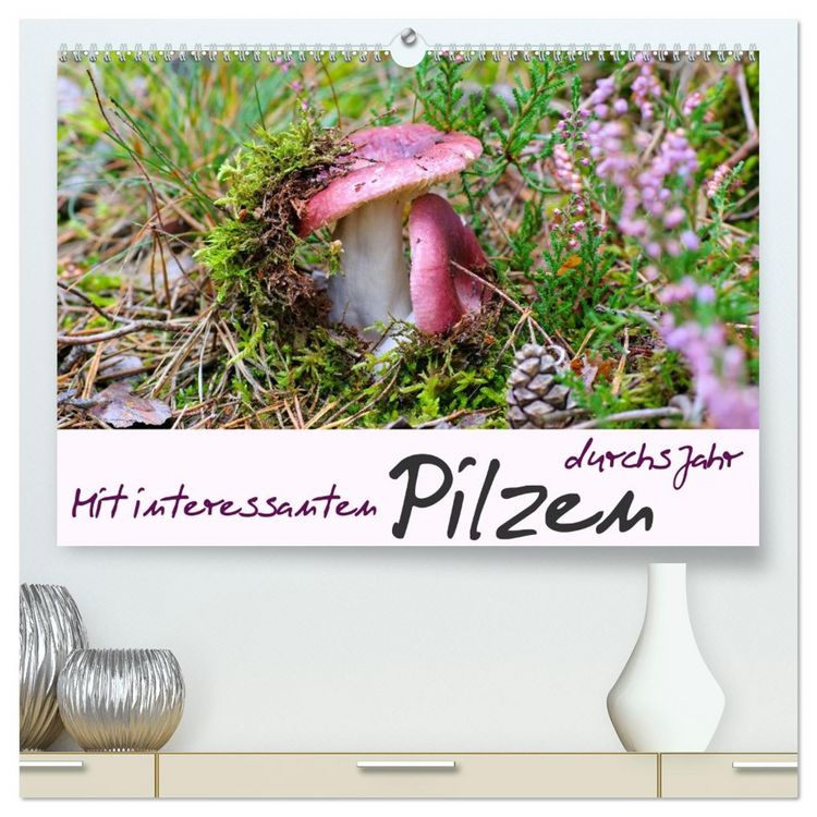 Produktbild: Mit interessanten Pilzen durchs Jahr (hochwertiger Premium Wandkalender 2026 DIN A2 quer), Kunstdruck in Hochglanz