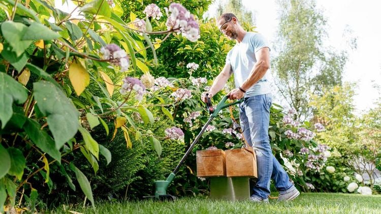 Produktbild: Bosch Home and Garden EasyGrassCut 23 Elektro Rasentrimmer 230 V Schnittbreite (max.): 23 cm