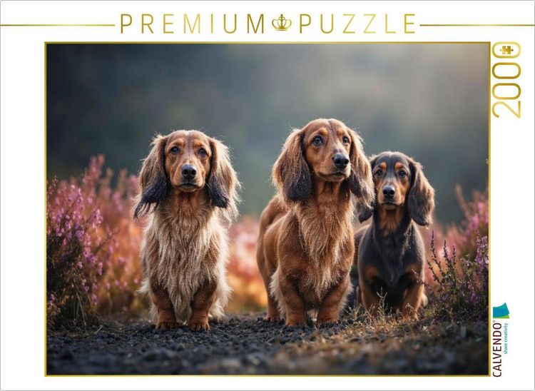 Produktbild: CALVENDO Puzzle Kurze Beine. Braune Augen. Zum Verlieben | 2000 Teile Lege-Gr&ouml;&szlig;e 90x67cm Foto-Puzzle f&uuml;r gl&uuml;ckliche Stunden