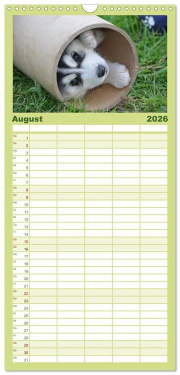 Produktbild: Familienplaner 2026 - Husky Welpen mit 5 Spalten (Wandkalender, 21 x 45 cm) CALVENDO