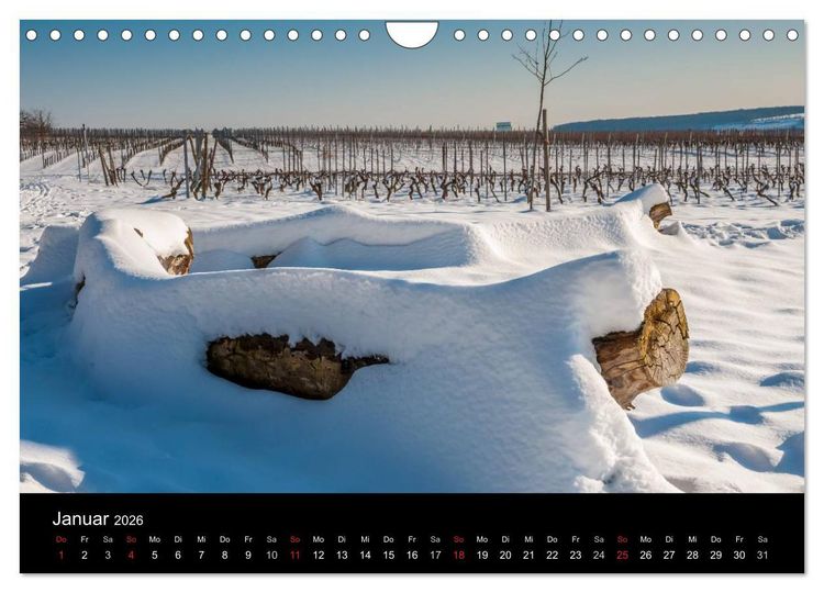 Produktbild: Ingelheim und Umgebung (Wandkalender 2026 DIN A4 quer), CALVENDO Monatskalender