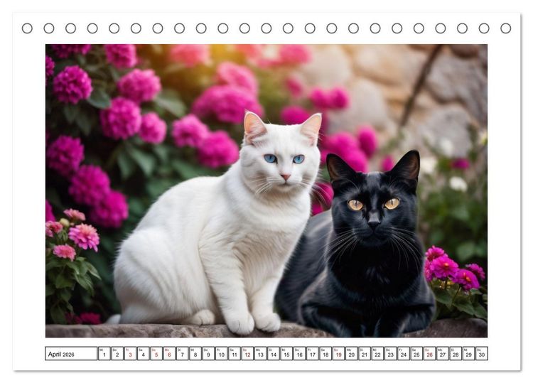 Produktbild: Haustiere - Black and White (Tischkalender 2026 DIN A5 quer), CALVENDO Monatskalender