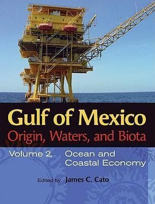 Produktbild: Gulf of Mexico Origin, Waters, and Biota v. 2; Ocean and Co