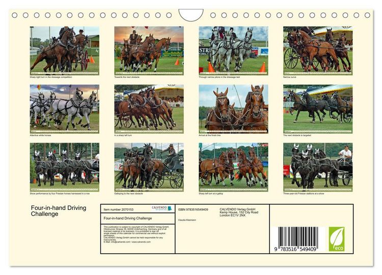 Produktbild: Four-in-hand Driving Challenge (Wall Calendar 2026 DIN A4 landscape), CALVENDO 12 Month Wall Calendar