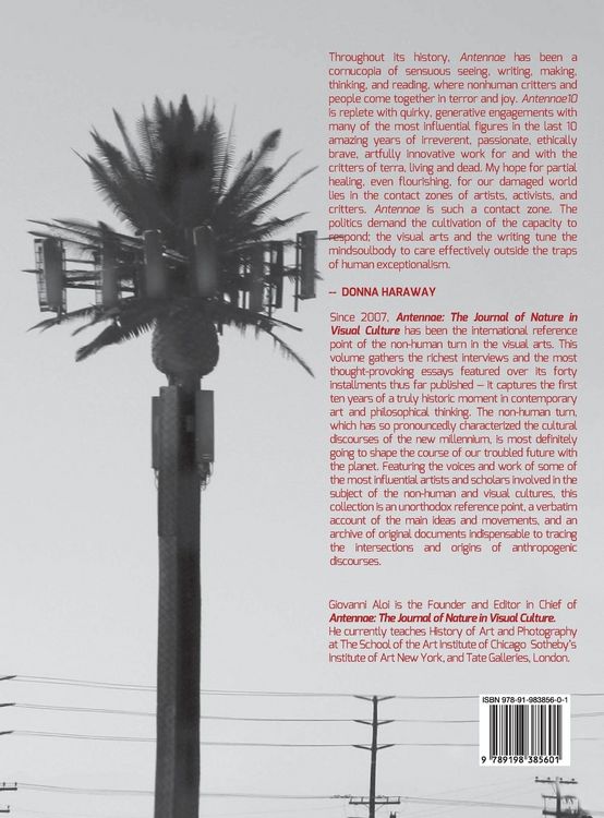Produktbild: Antennae 10