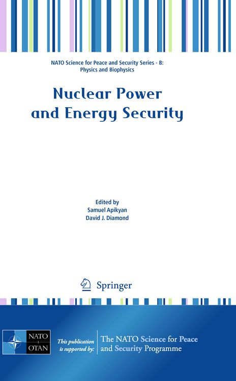 Produktbild: Nuclear Power and Energy Security