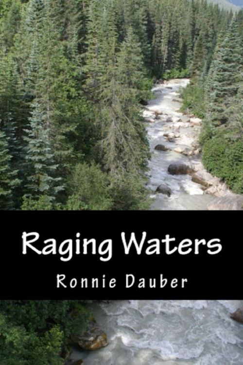 Produktbild: Raging Waters (Sarah Davies, #4)