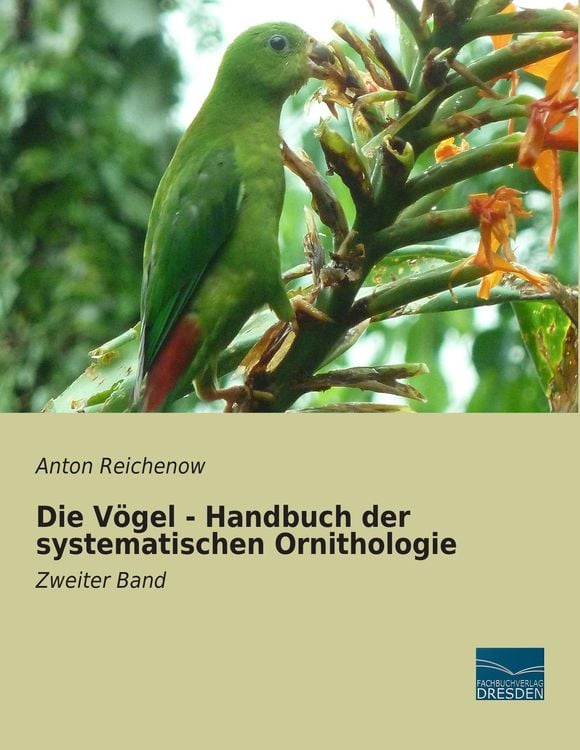 Produktbild: Die V&ouml;gel - Handbuch der systematischen Ornithologie