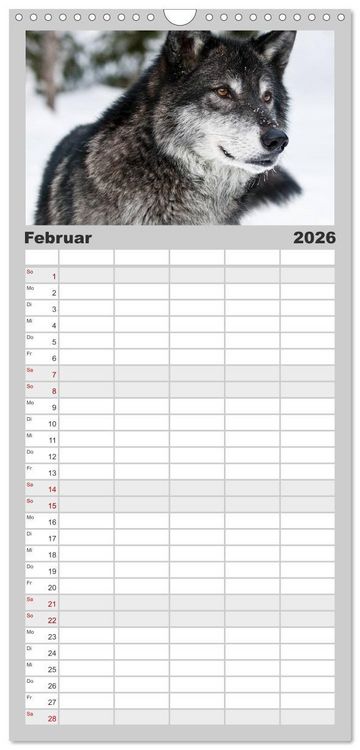Produktbild: Familienplaner 2026 - W&ouml;lfe. Graue Eminenzen mit 5 Spalten (Wandkalender, 21 x 45 cm) CALVENDO