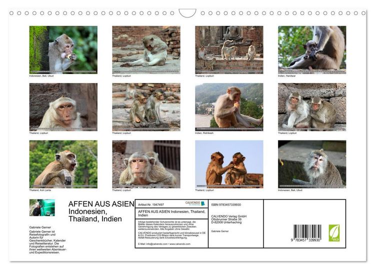 Produktbild: AFFEN AUS ASIEN Indonesien, Thailand, Indien (Wandkalender 2026 DIN A3 quer), CALVENDO Monatskalender