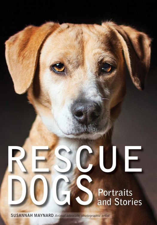 Produktbild: Rescue Dogs