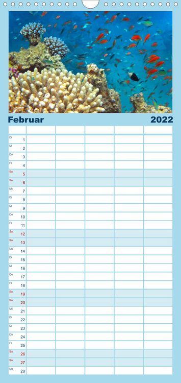 Produktbild: Riffleben - Einfach mal abtauchen - Familienplaner hoch (Wandkalender 2022 , 21 cm x 45 cm, hoch)