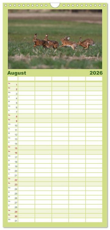 Produktbild: Familienplaner 2026 - Feldhasen in H&ouml;chstform mit 5 Spalten (Wandkalender, 21 x 45 cm) CALVENDO
