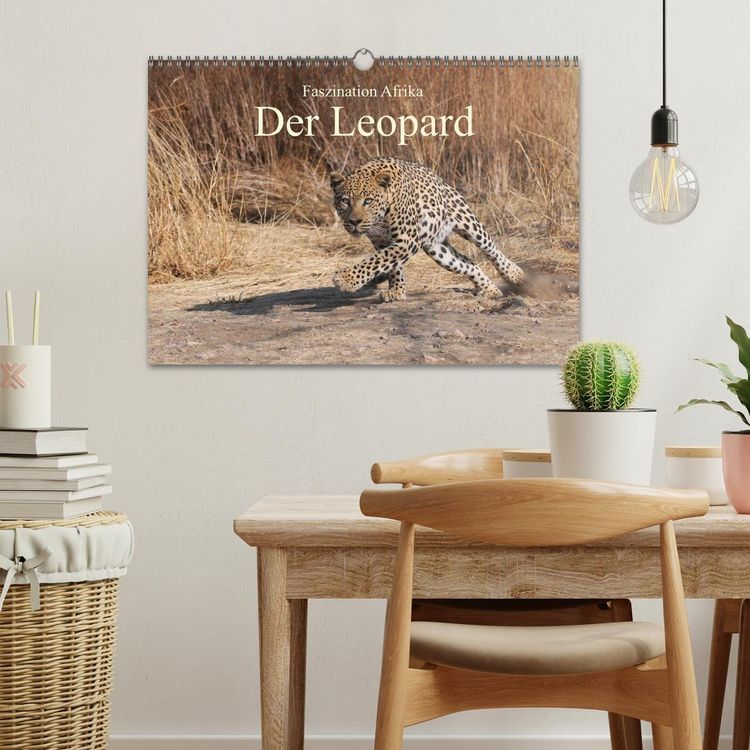 Produktbild: Faszination Afrika: Der Leopard (Wandkalender 2026 DIN A3 quer), CALVENDO Monatskalender