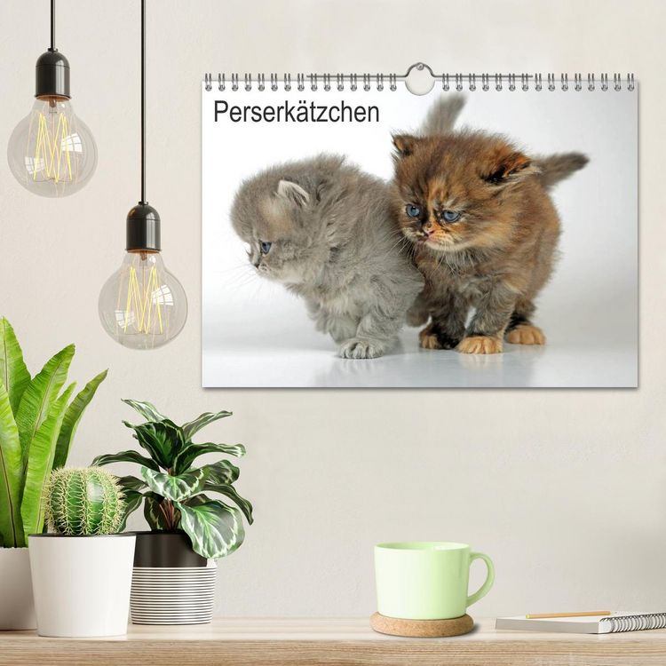 Produktbild: Perserk&auml;tzchen (Wandkalender 2026 DIN A4 quer), CALVENDO Monatskalender