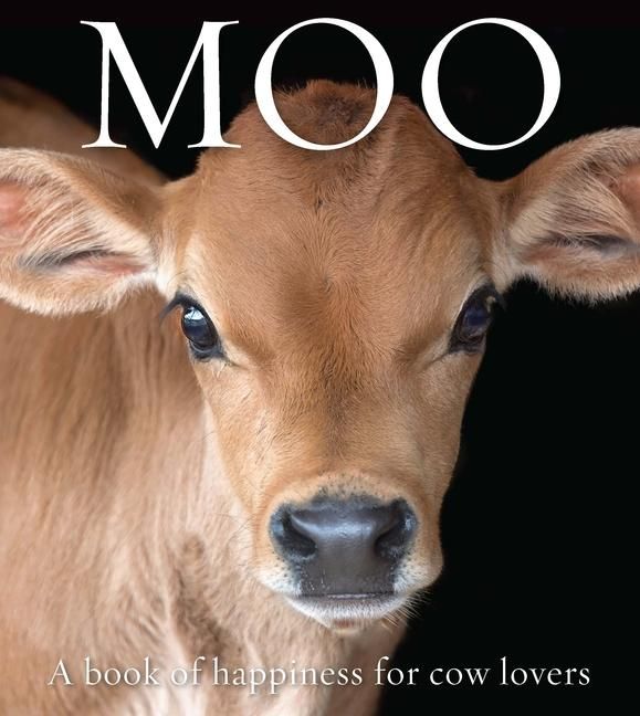 Produktbild: Moo