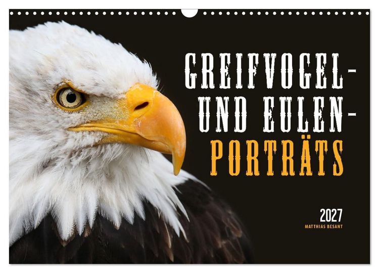 Produktbild: GREIFVOGEL- UND EULENPORTR&Auml;TS (Wandkalender 2027 DIN A3 quer), CALVENDO Monatskalender