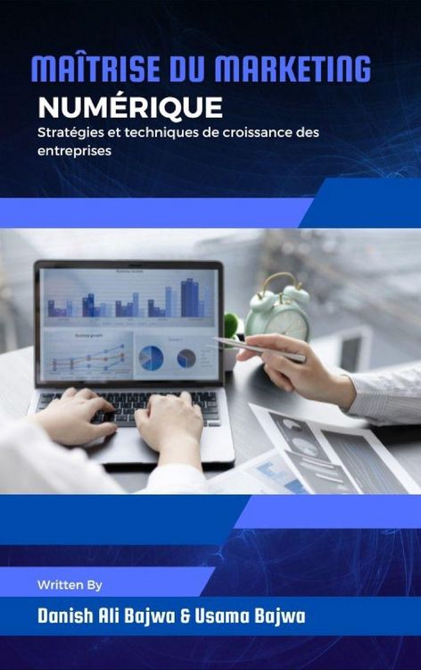 Produktbild: Ma&icirc;trise du marketing num&eacute;rique