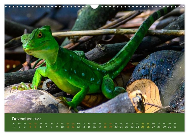 Produktbild: Costa Rica - Naturparadies zwischen Karibik und Pazifik (Wandkalender 2027 DIN A3 quer), CALVENDO Monatskalender